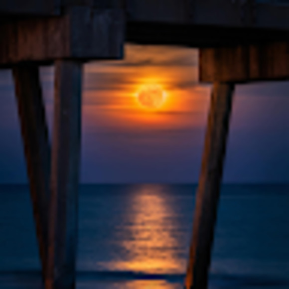 Meet your Posher, Stephanie - Picture 1 of 1